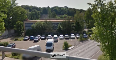 Swiss Park Fly Service foto 1